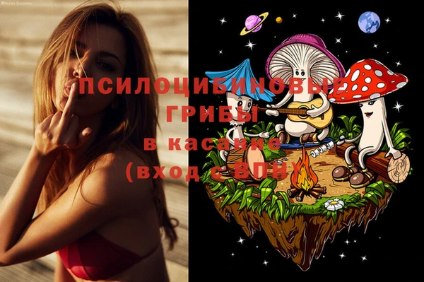 ECSTASY Баксан