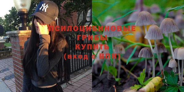 твердый Балабаново