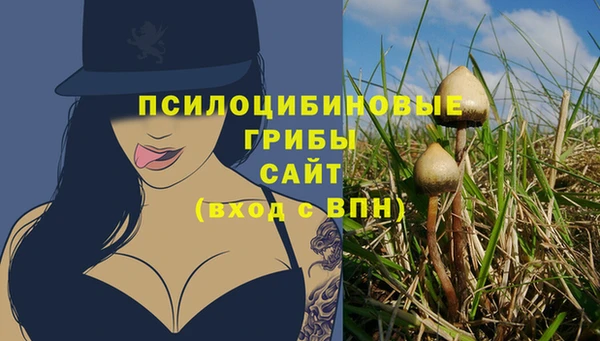 МДПВ Белокуриха