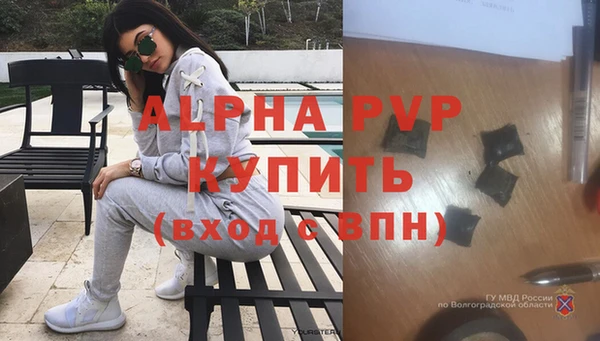 гашик Карпинск